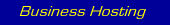 business website hosting