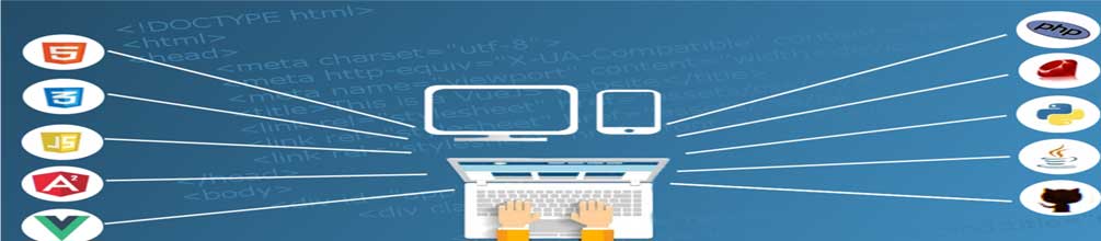 what is web hosting