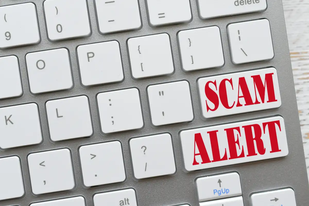Domain phishing Scams