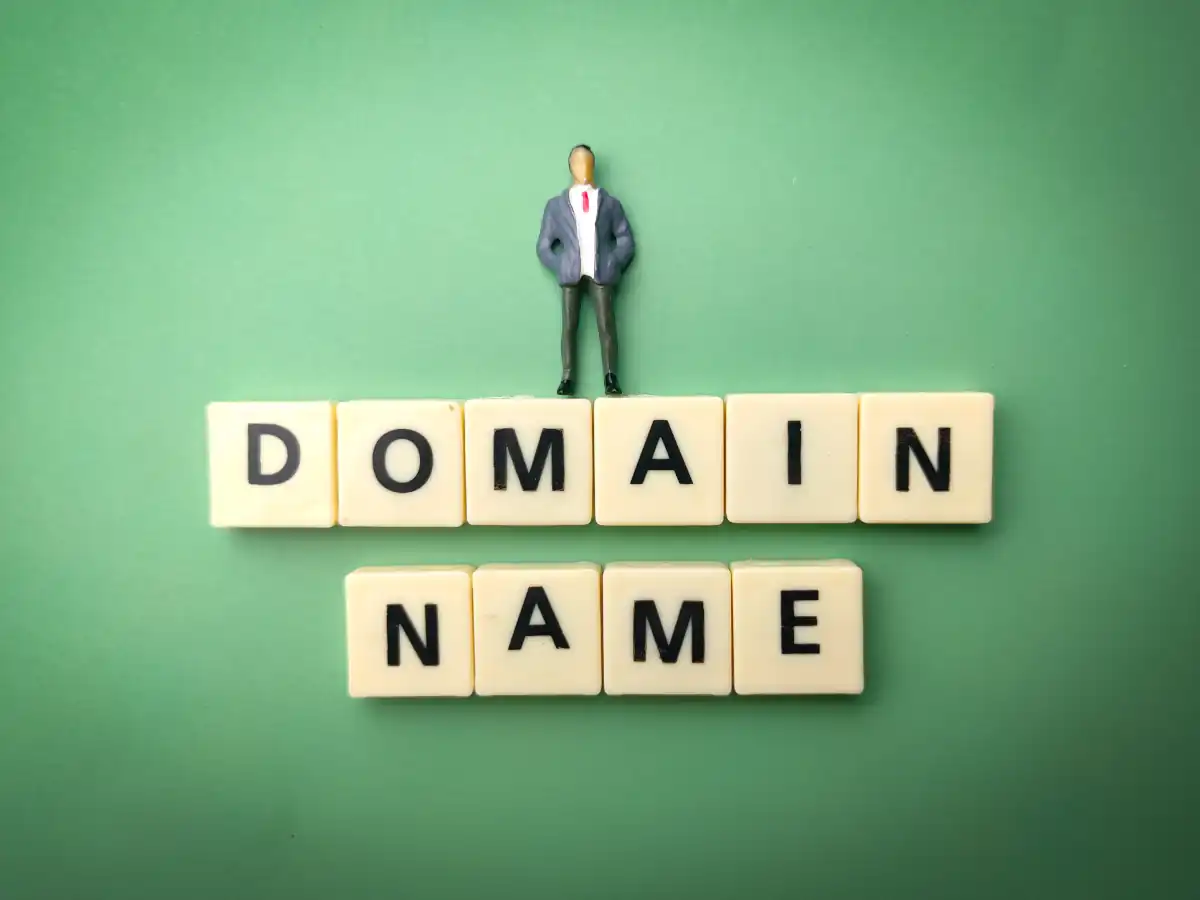 domain name renewal